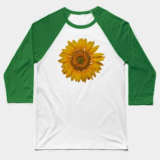 Sunflower 2 Baseball T-Shirt